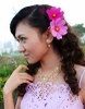 �s�Q���ѧ@�~�θg��