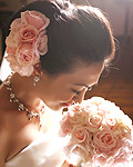 �s�Q����-�żz(vivian)