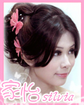 �s�Q���ѡA�a��(silvia)